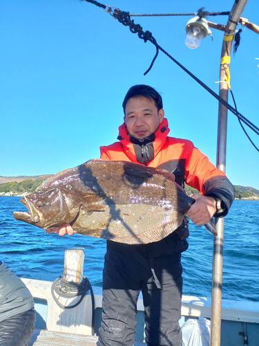 ヒラメの釣果