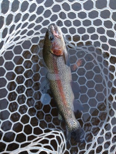 すそのフィッシングパーク