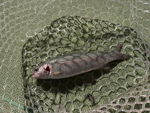 西武園ゆうえんちフィッシングランド