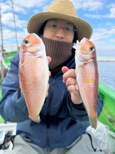 アマダイの釣果