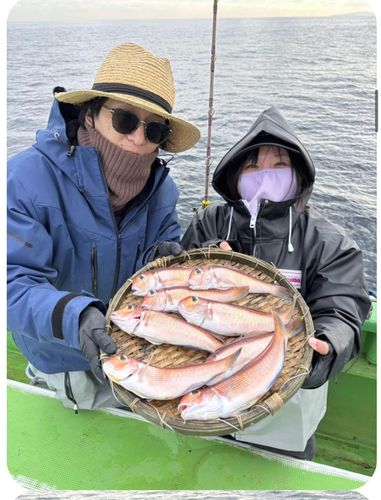 アマダイの釣果