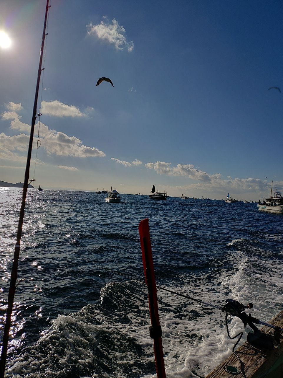 HOIHOI5963さんの釣果 3枚目の画像