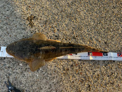 新舞子マリンパーク