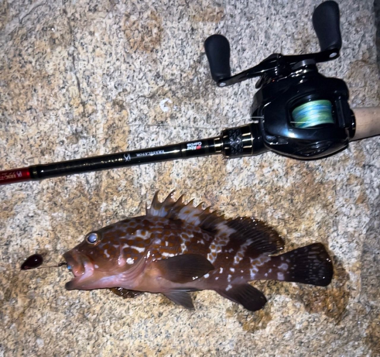 AbuGarcia エラディケーター ロックスイーパー ERSC-777H-MLの最安値