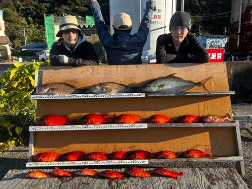 ヒレナガカンパチの釣果