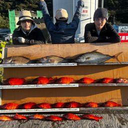 ヒレナガカンパチ