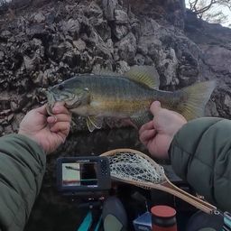 スモールマウスバス