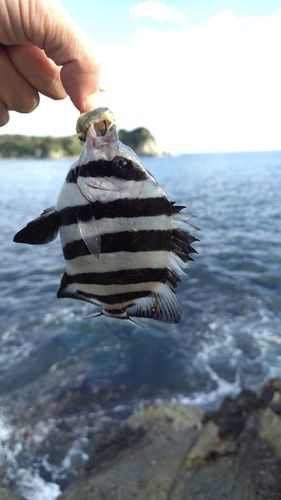 興津港海浜公園