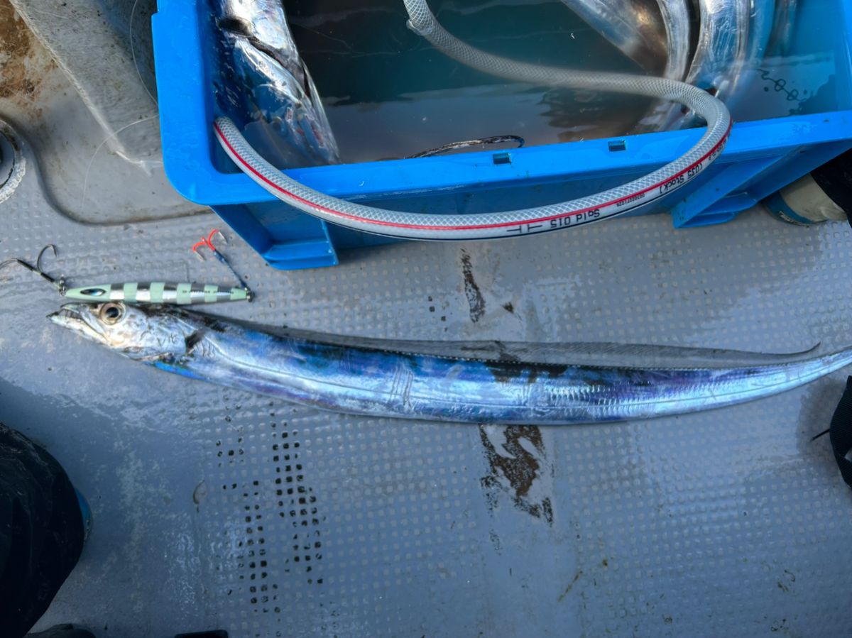 名古屋のKAZUさんの釣果 2枚目の画像