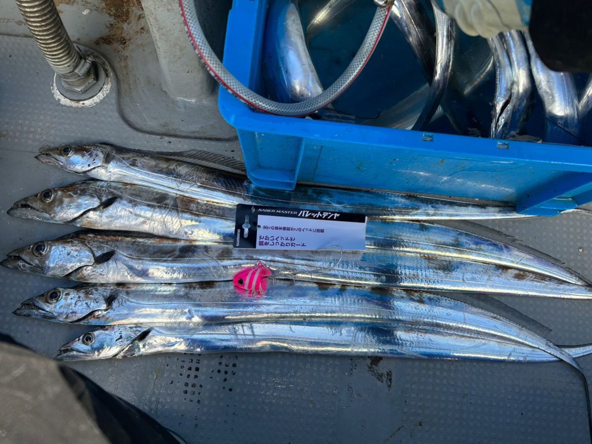 名古屋のKAZUさんの釣果 2枚目の画像