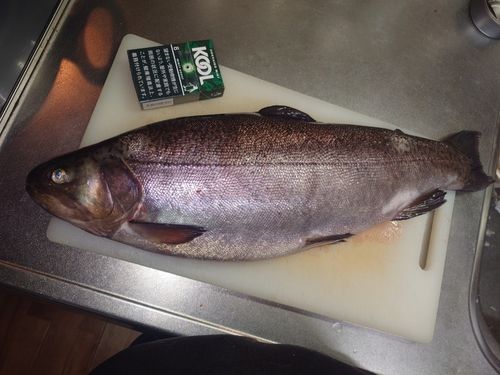 フィッシャーリゾート しょうばら