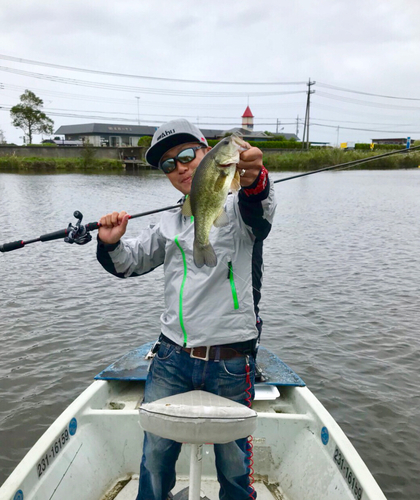 ラージマウスバスの釣果