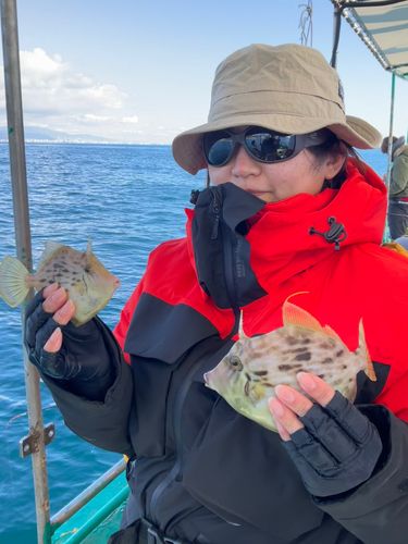 カワハギの釣果