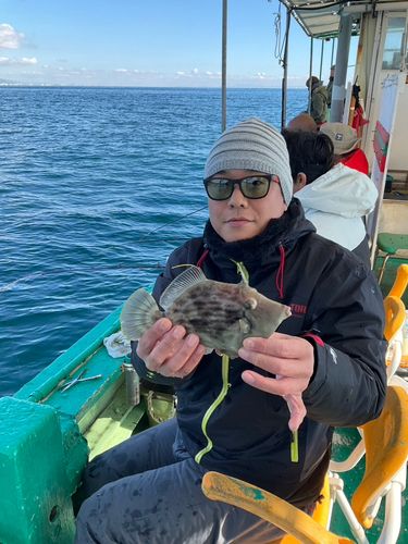 カワハギの釣果