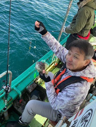 カワハギの釣果