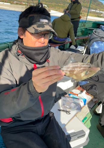 カワハギの釣果