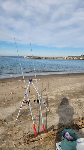 相馬港釣り桟橋