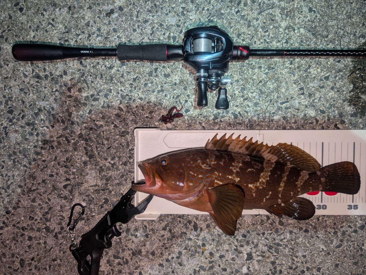 SHIMANO 20ゾディアス 1610ML-2の最安値・インプレ・釣果 | 本音の