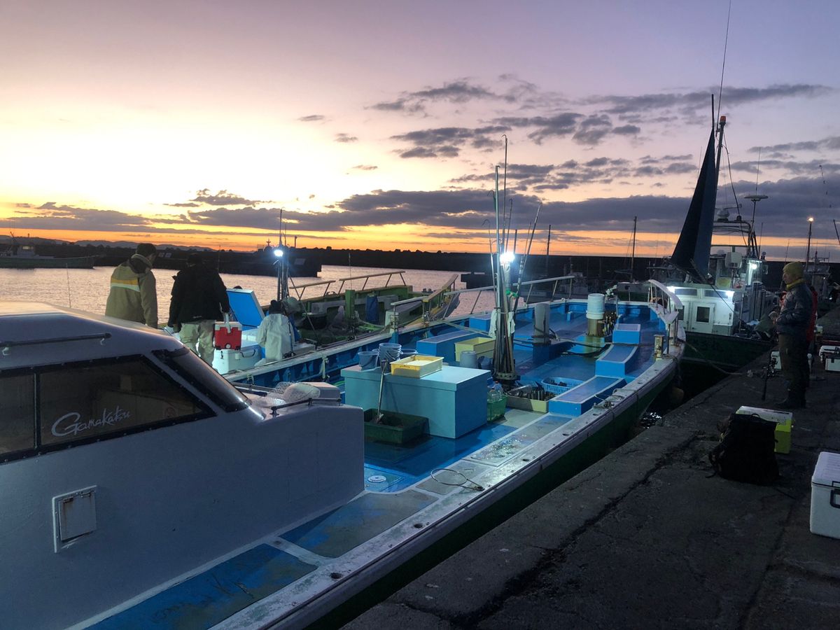 1/144さんの釣果 3枚目の画像