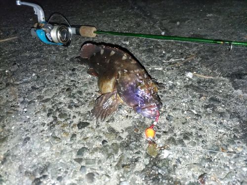 城南島海浜公園