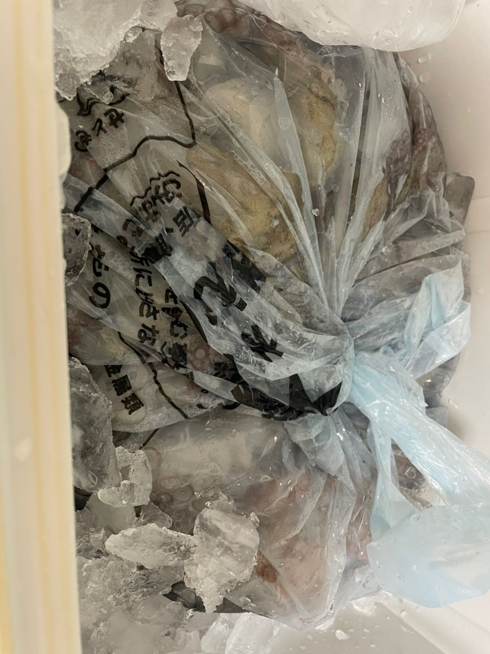 コナツ2015さんの釣果 2枚目の画像