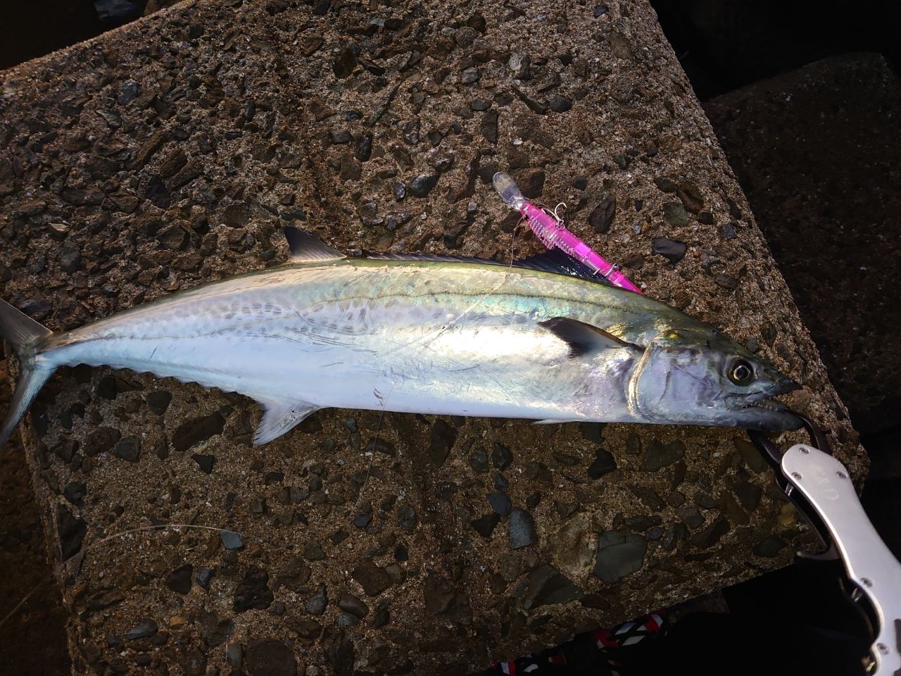 DAIWA 21オーバーゼア グランデ（サーフモデル） 103MHの最安値