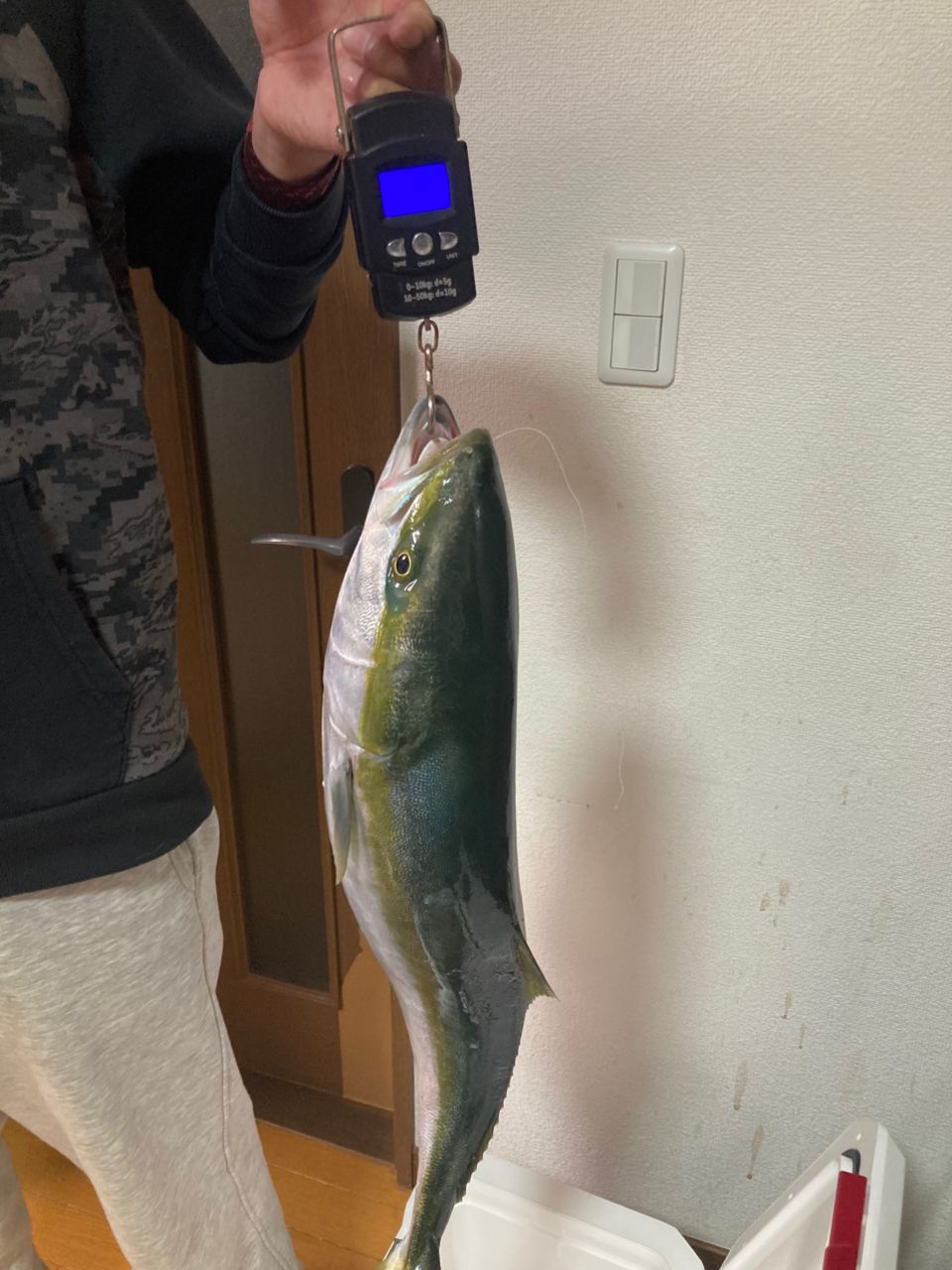 ライト君の晩御飯さんの釣果 1枚目の画像