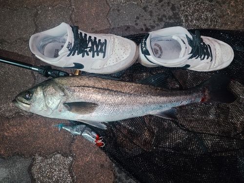 有明西ふ頭公園