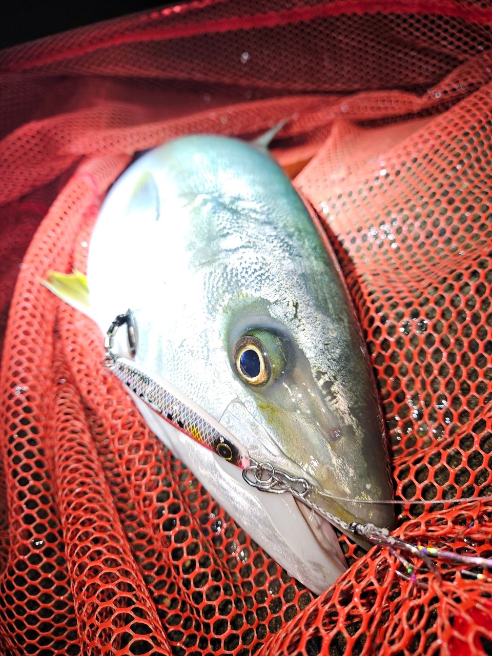 DAIWA 20オーバーゼア エア 109MHの最安値・インプレ・釣果 | 本音の