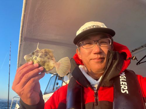 カワハギの釣果