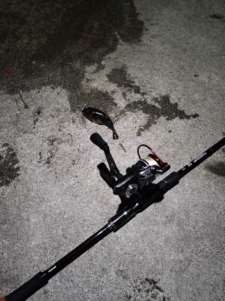 DAIWA 16エメラルダス ストイスト AGS IL 79MMHの最安値・インプレ