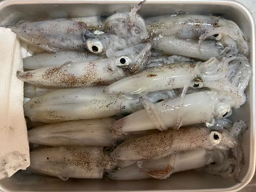 東京湾（アクアライン以北）