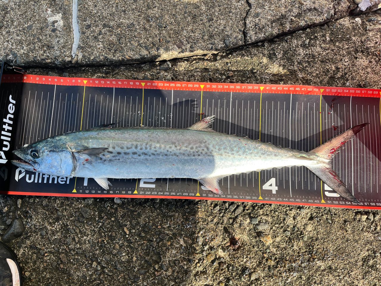 雪*様 シマノ 20コルトスナイパーXR S100M 雪*様 シマノ 20コルト