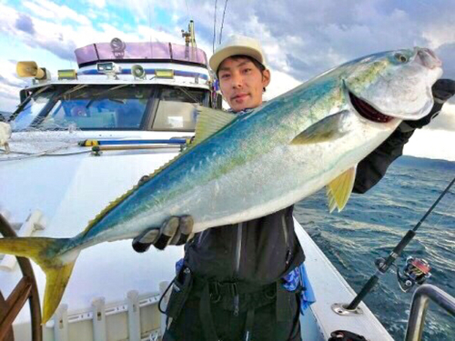 ブリの釣果