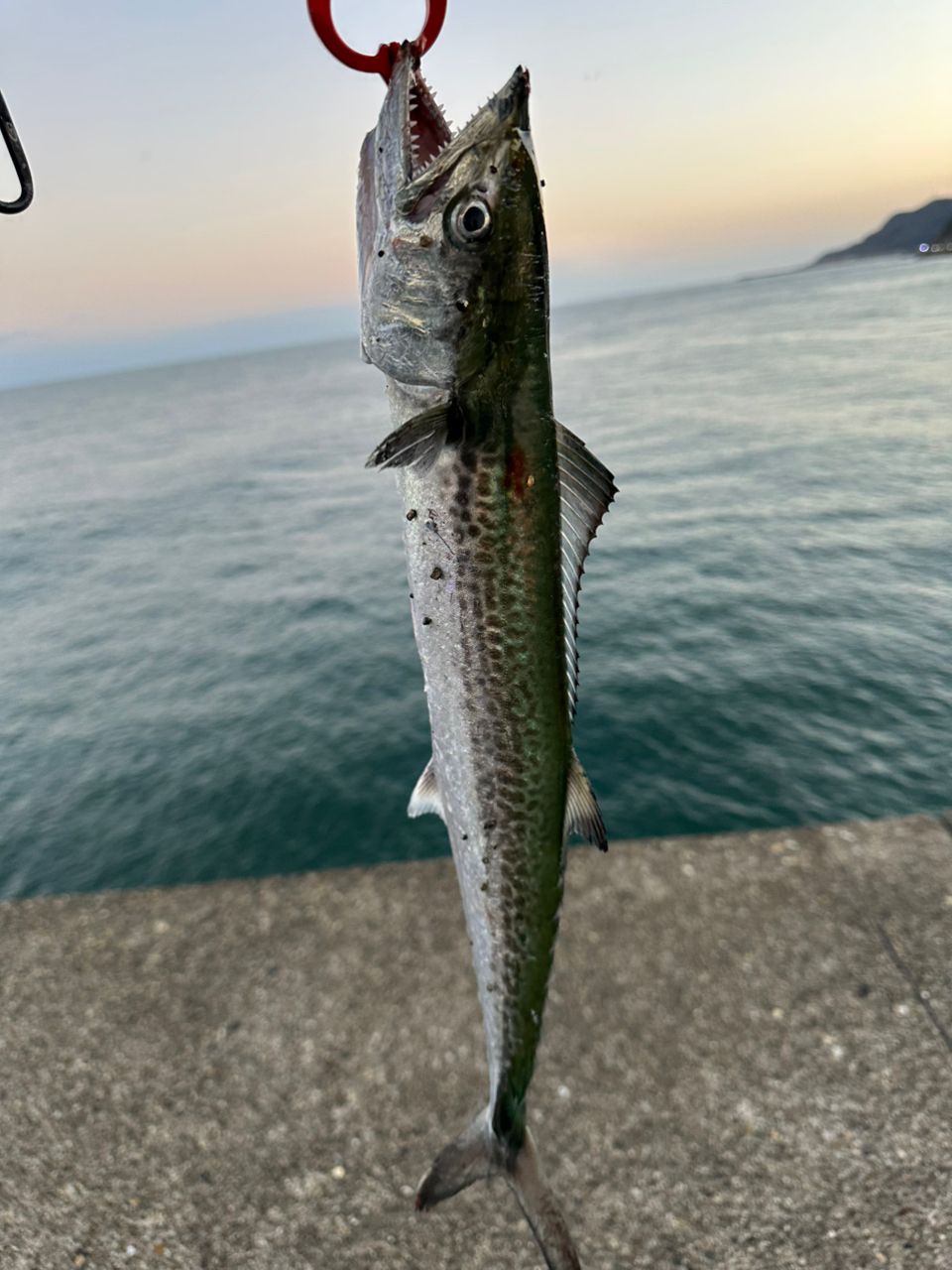 JACKALL ビーアールエス BRS-S106M+SURFの最安値・インプレ・釣果