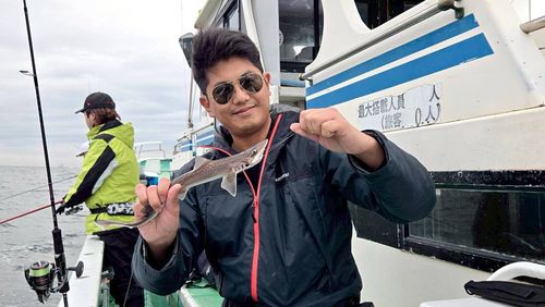 サメの釣果