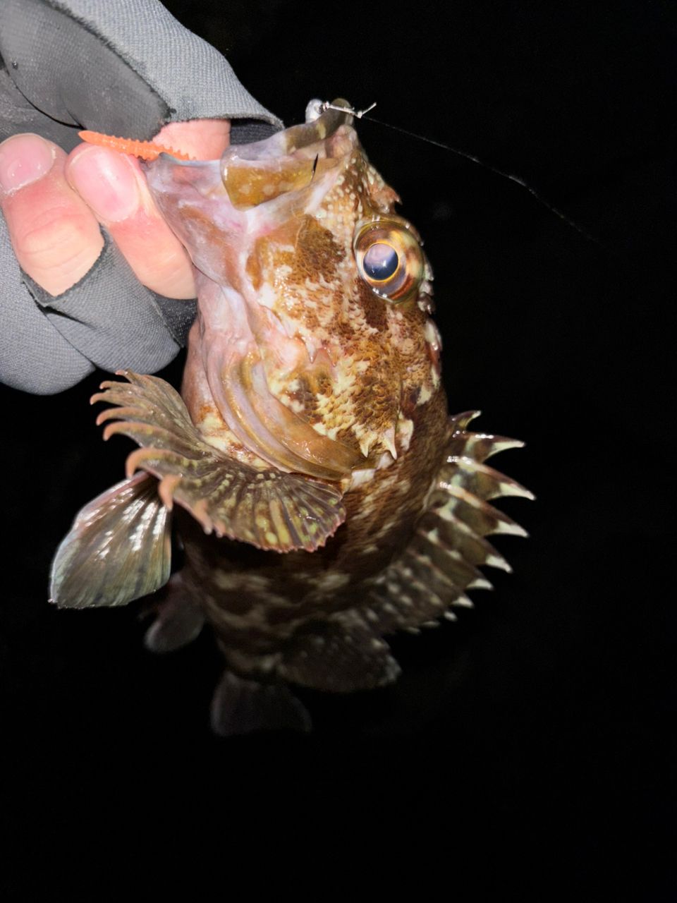 MajorCraft 鯵道 5G AD5-S682L/AJIの最安値・インプレ・釣果 | 本音の