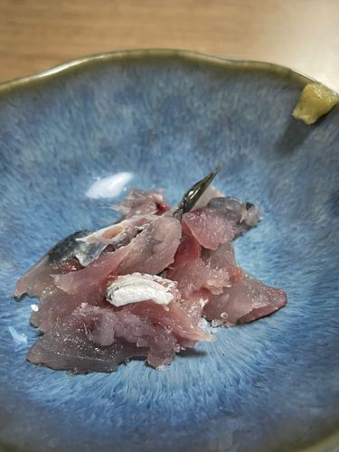 オリンピック記念公園