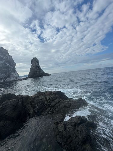 アオブダイの釣果