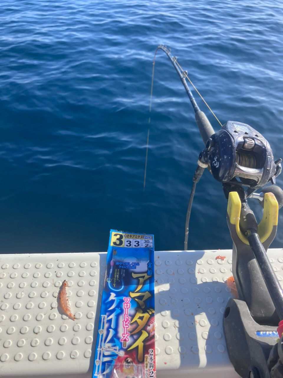 アングラーナーヒャンさんの釣果 2枚目の画像