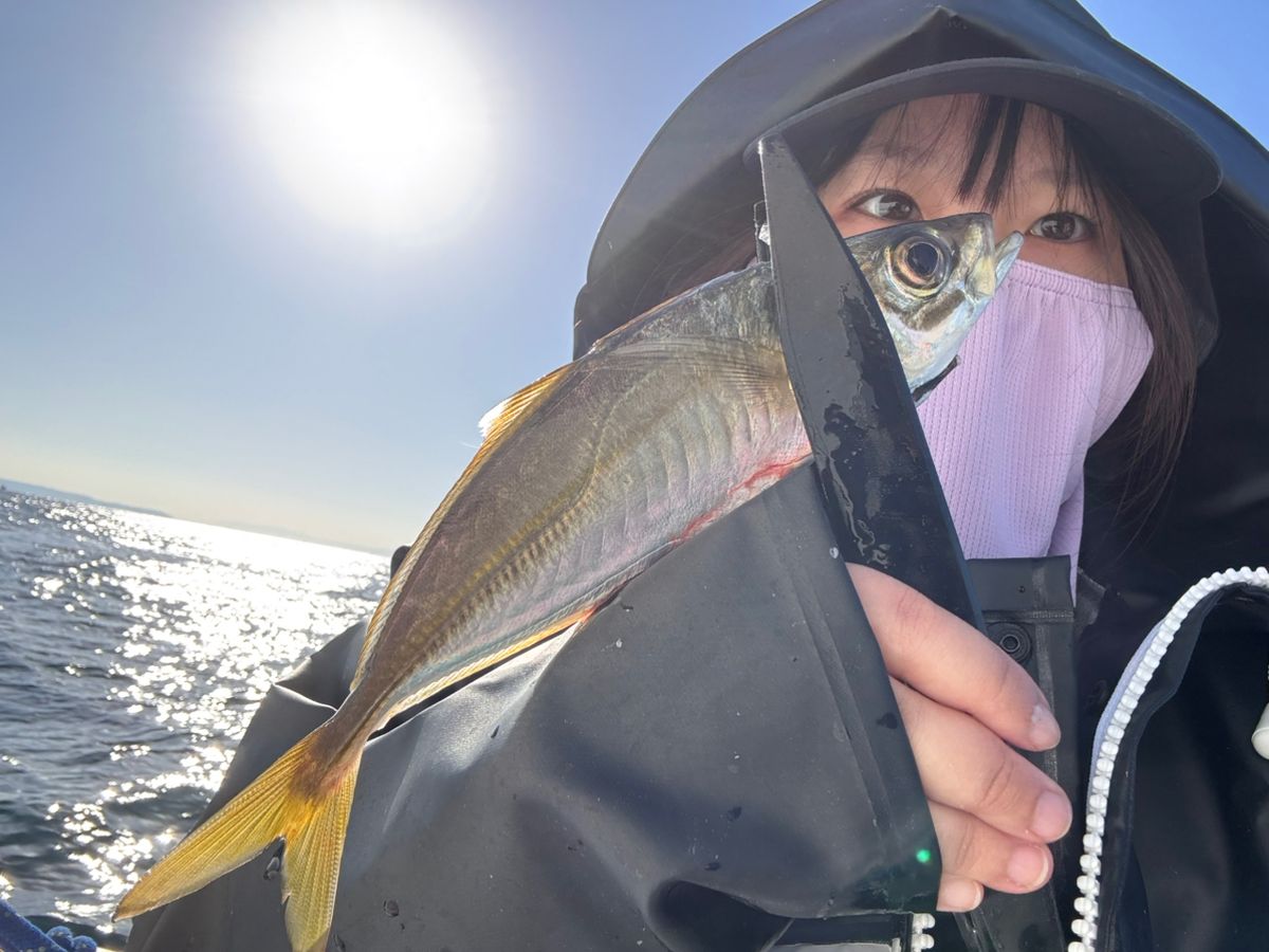 あや🐟さんの釣果 1枚目の画像