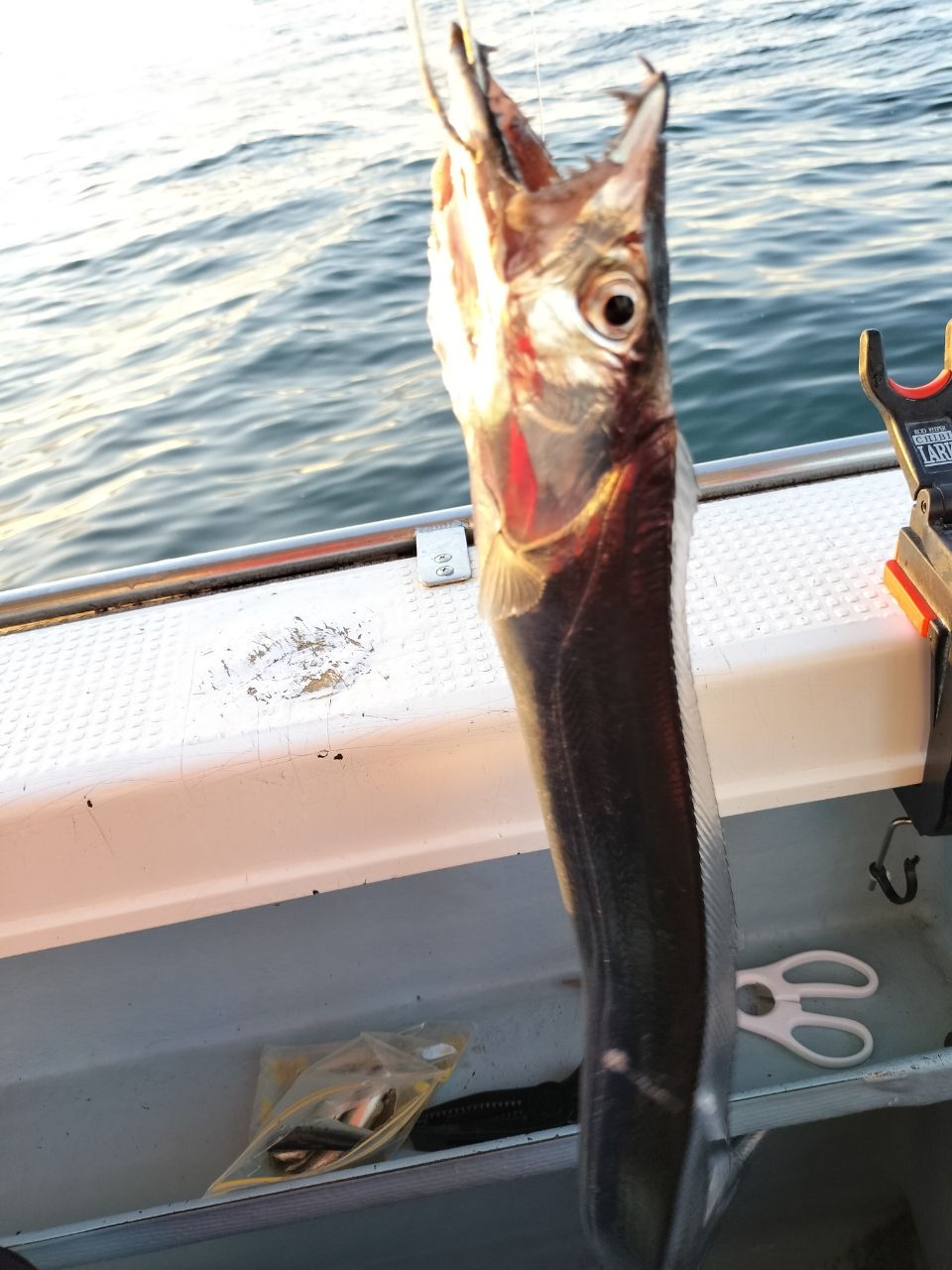 なおぼんさんの釣果 2枚目の画像