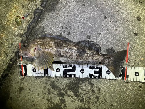 キラキラ公園（苫小牧西港）