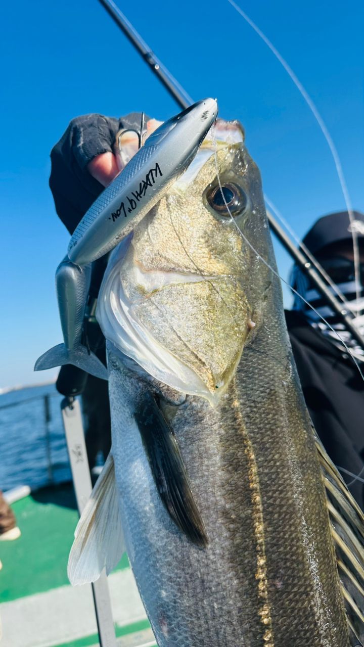 TARGET Chibaさんの釣果 1枚目の画像