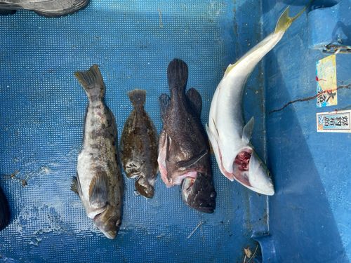 船越湾（岩手）