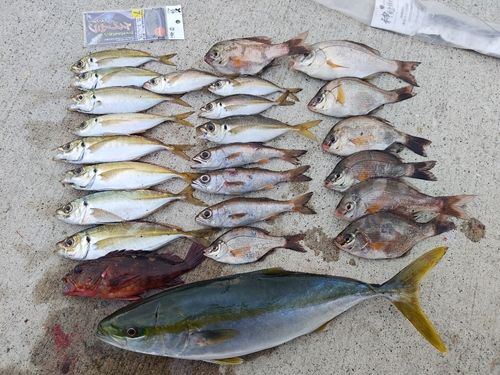 金沢水際線緑地（福浦岸壁）