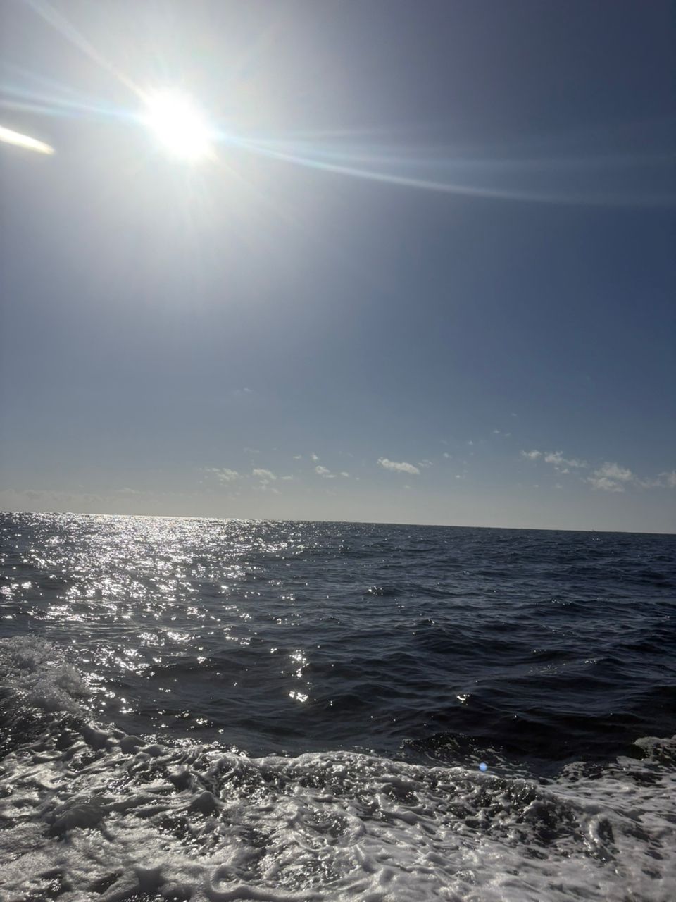 ❤︎釣り網カップル❤︎さんの釣果 2枚目の画像