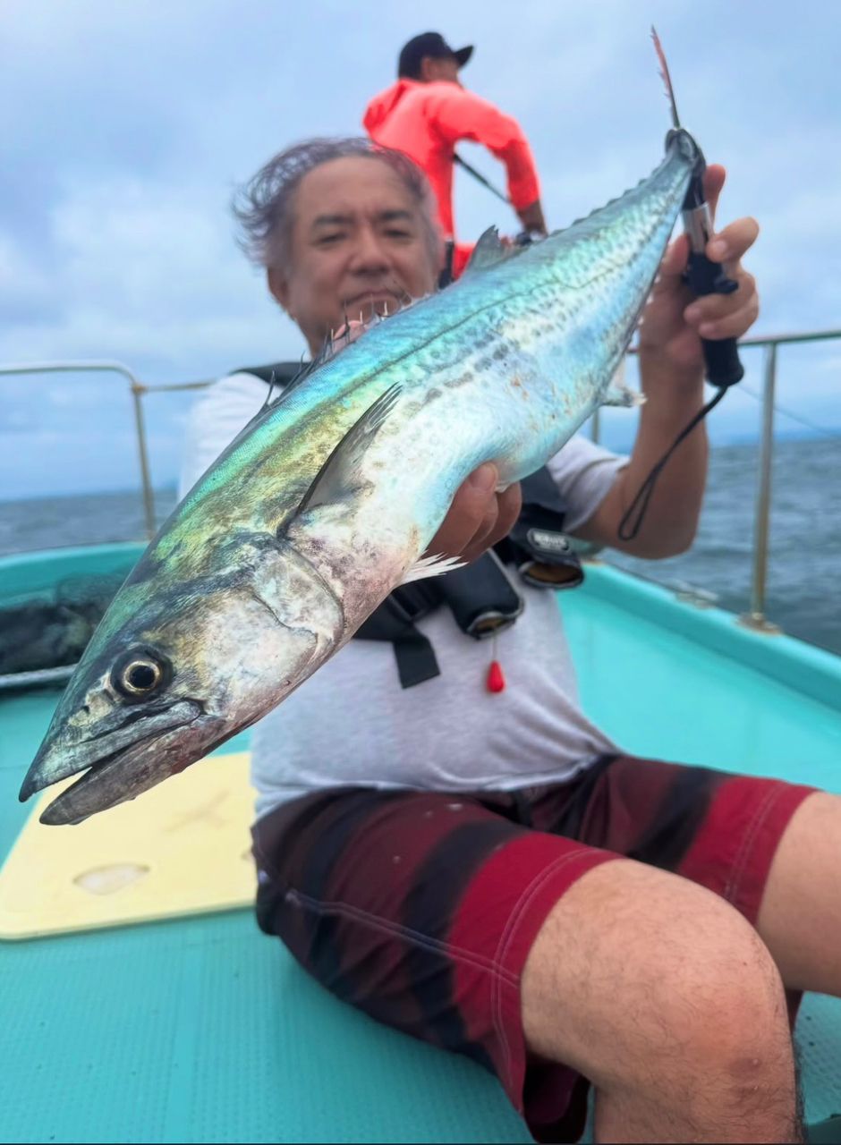 甲斐大地さんの釣果 3枚目の画像