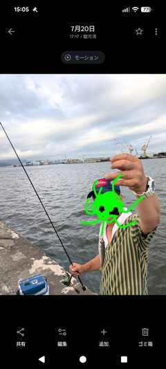アジの釣果