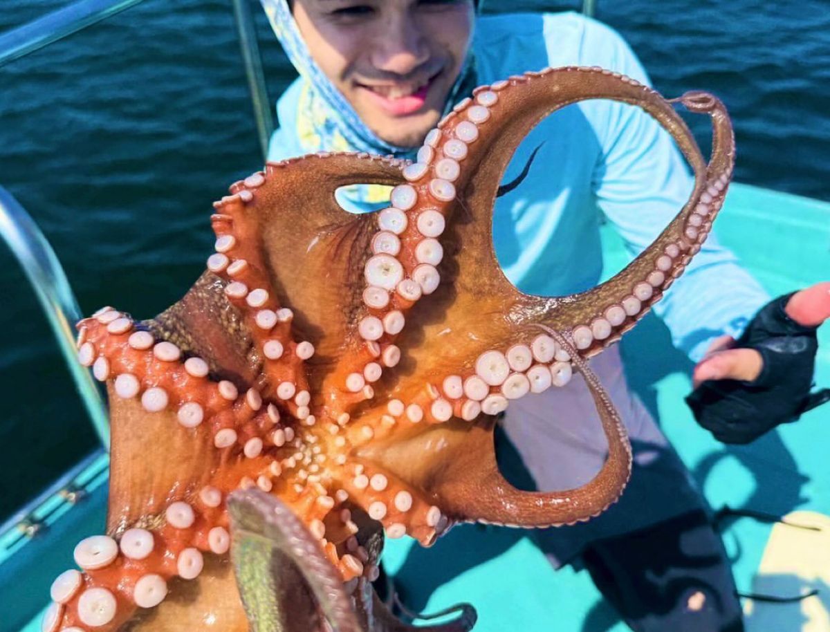 甲斐大地さんの釣果 2枚目の画像